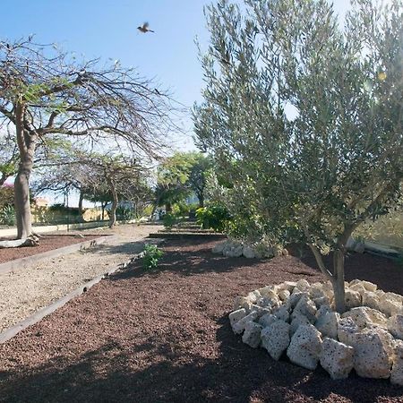 Rural Villa With Private Pool Güimar Εξωτερικό φωτογραφία
