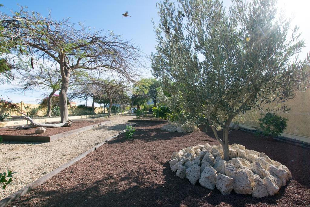 Rural Villa With Private Pool Güimar Εξωτερικό φωτογραφία